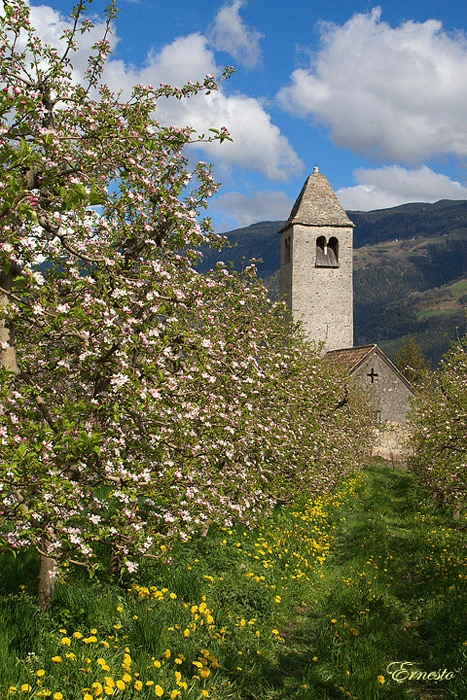 san procolo